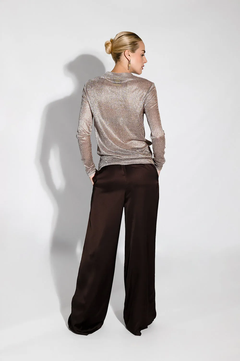 Golden Shimmering Mesh Teresa Top