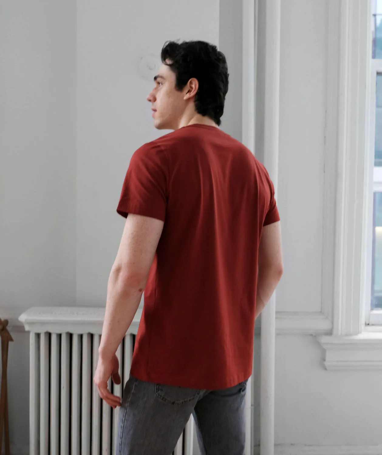 SETH v-neck men's tee in Burnt Henna
