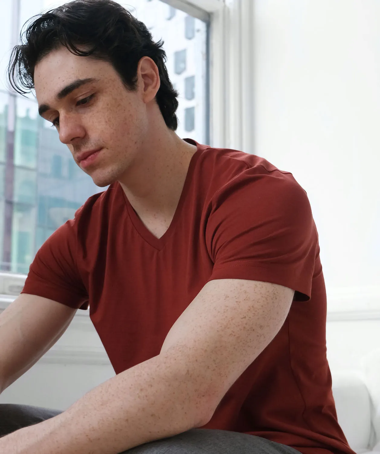 SETH v-neck men's tee in Burnt Henna